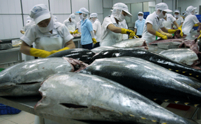 Công ty Astra Aqua và giải pháp sourcing cá ngừ xuất khẩu Indonesia chuyên nghiệp