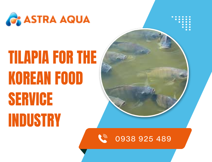 Tilapia for the Korean Food Service Industry
