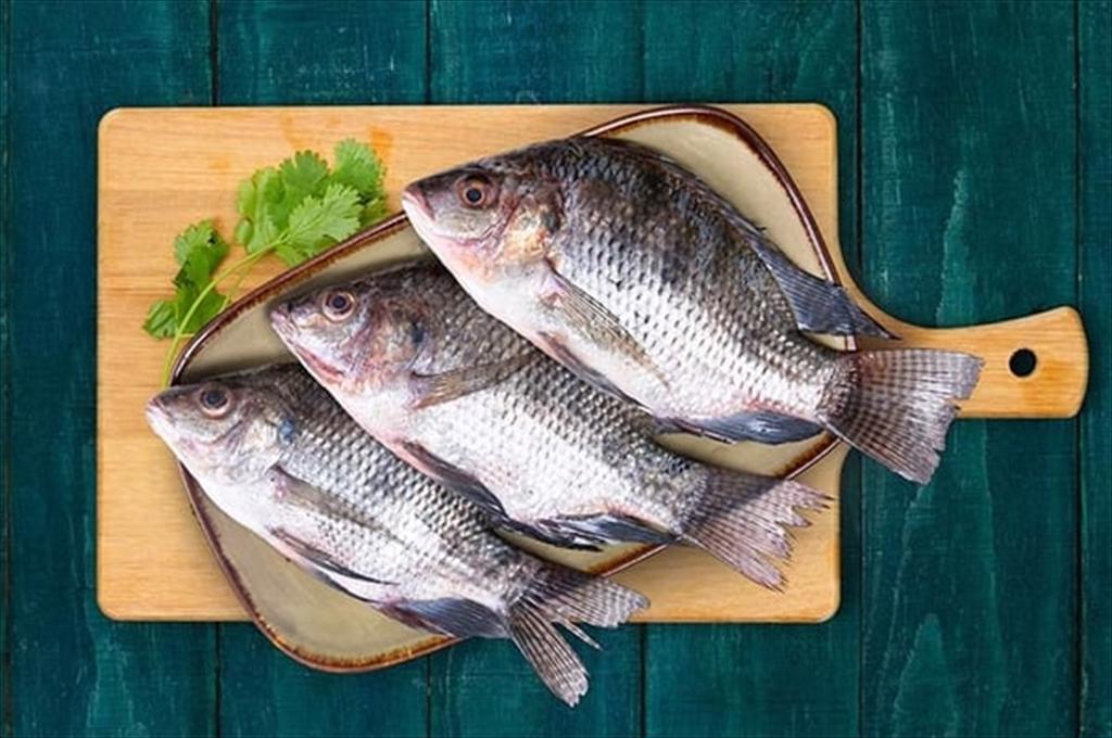 Vai Trò Của Công Ty Astra Aqua Trong Chuỗi Xuất Khẩu Cá Rô Phi