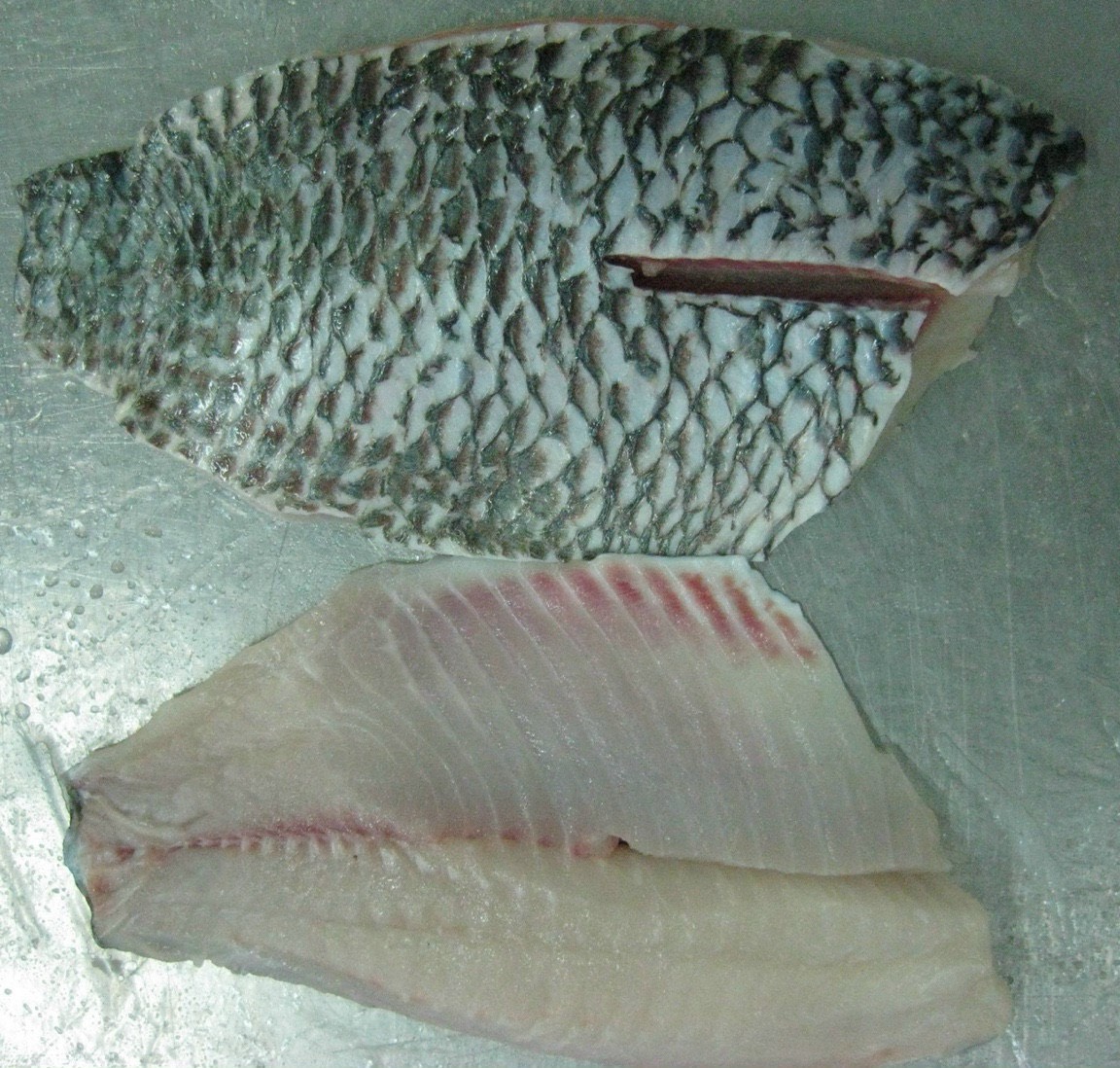 Cá rô phi xuất khẩu sang Hàn Quốc