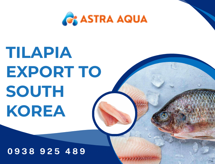 Tilapia Export to South Korea