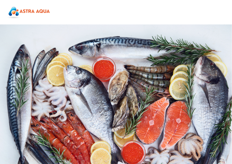 Các Loại Hải Sản Sẵn Có Tại ASTRA AQUA