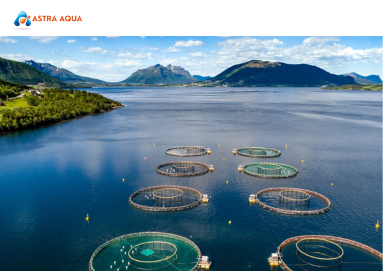 Các Lợi Ích Của Việc Mở Rộng Nuôi Cá Hồi Công Nghệ Cao tại Astra Aqua