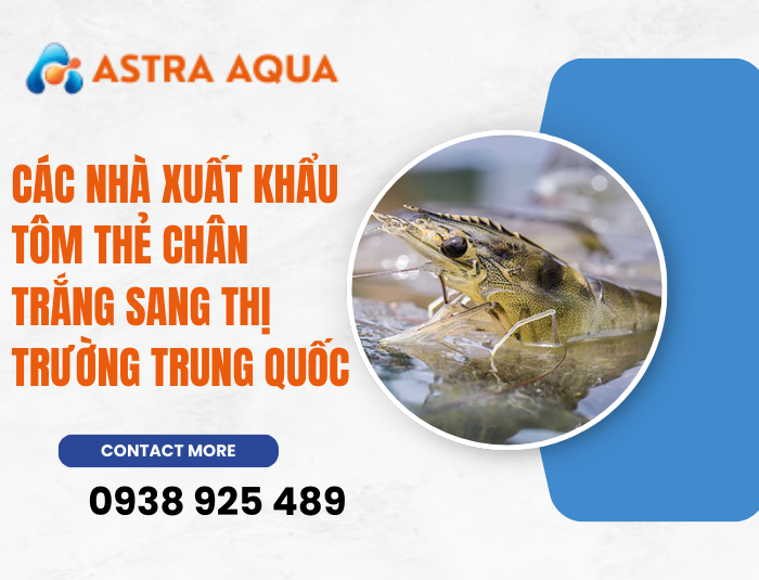 Các nhà xuất khẩu tôm thẻ chân trắng sang thị trường Trung Quốc
