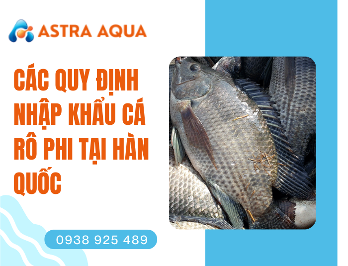 Các quy định nhập khẩu cá rô phi tại Hàn Quốc