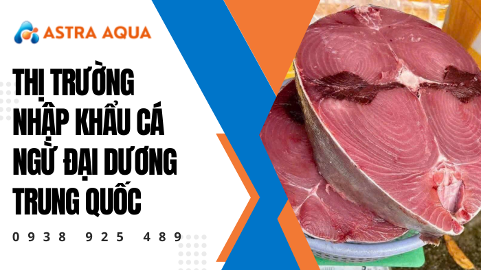 Thị trường nhập khẩu cá ngừ đại dương Trung Quốc