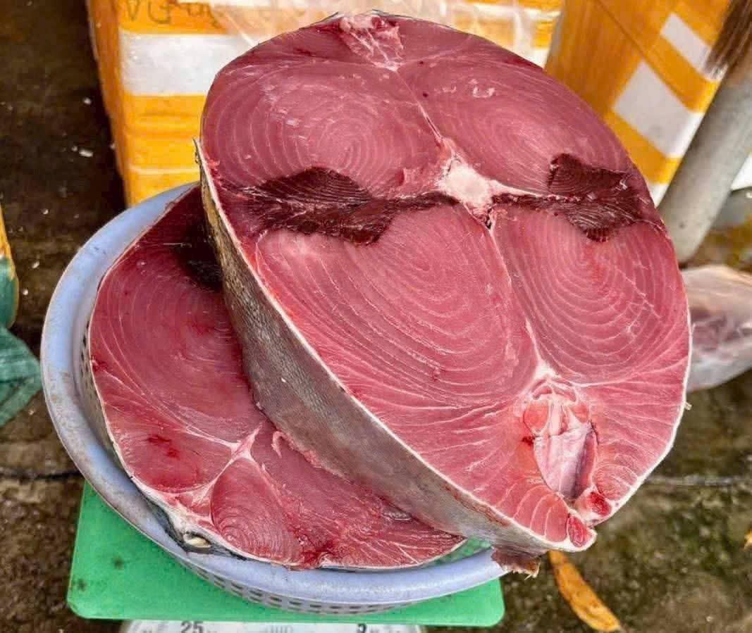 Xu hướng tiêu dùng cá ngừ đại dương tại Trung Quốc