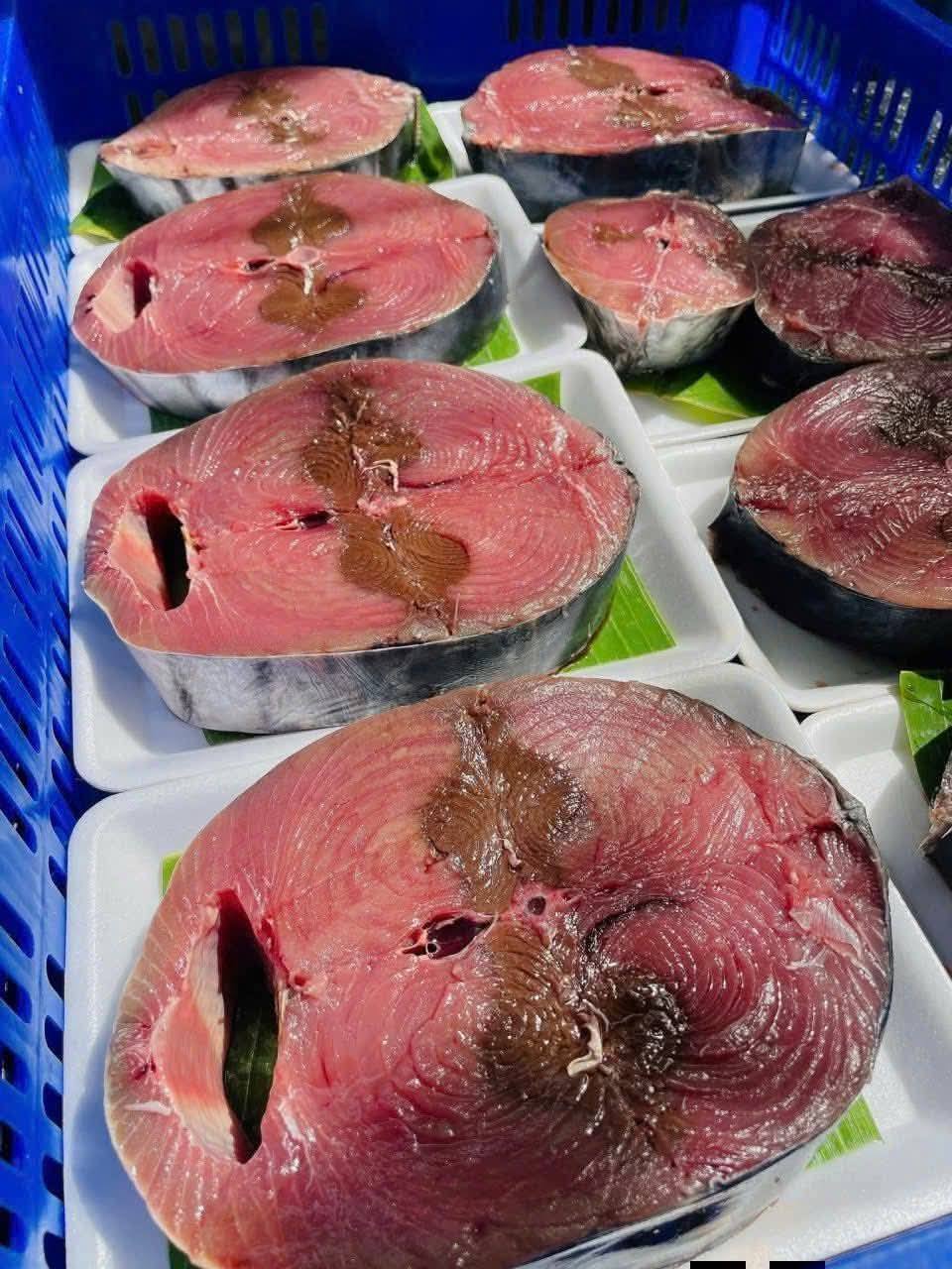 Cung ứng cho thị trường nhập khẩu cá ngừ đại dương Trung Quốc