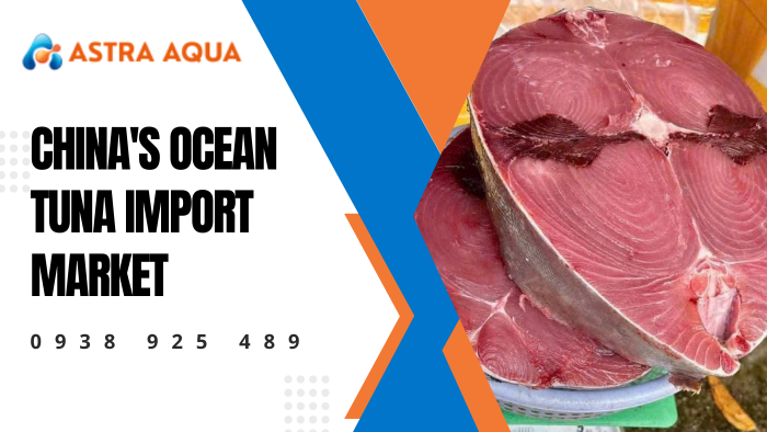 China's Ocean Tuna Import Market