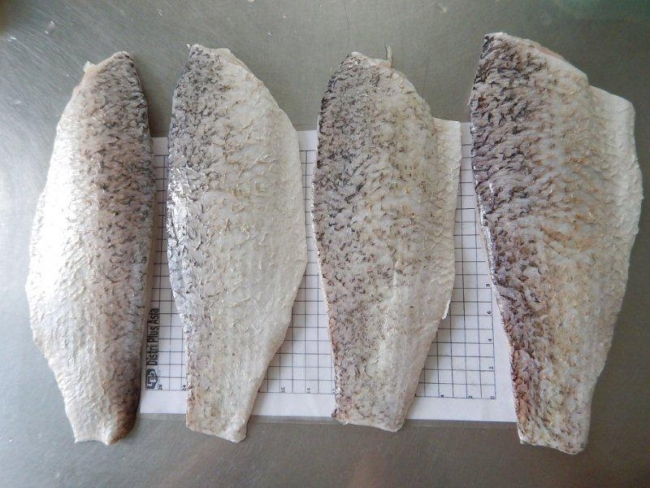 Dịch vụ logistics xuất khẩu cá chẽm chuyên nghiệp