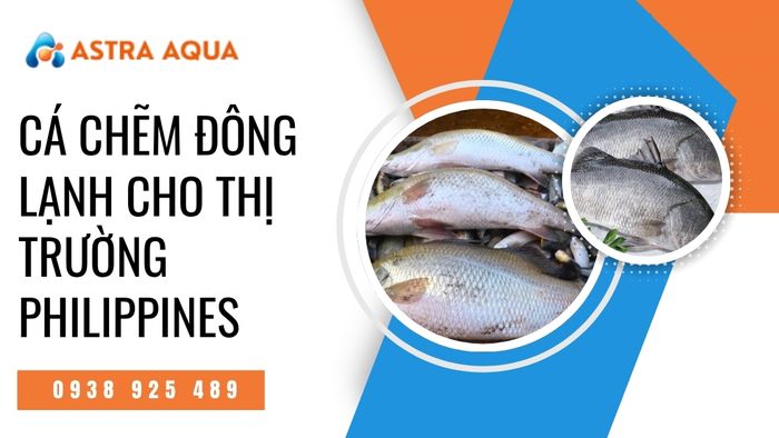 Nhu cầu nhập khẩu cá chẽm đông lạnh chất lượng tại Philippines