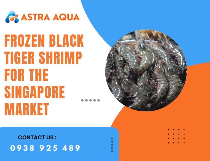 Frozen Black Tiger Shrimp for the Singapore Market
