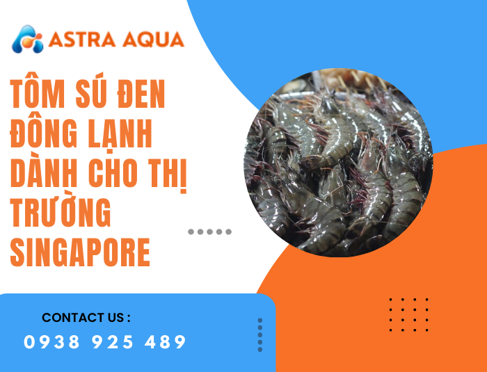 Tôm sú đông lạnh dành cho thị trường Singapore