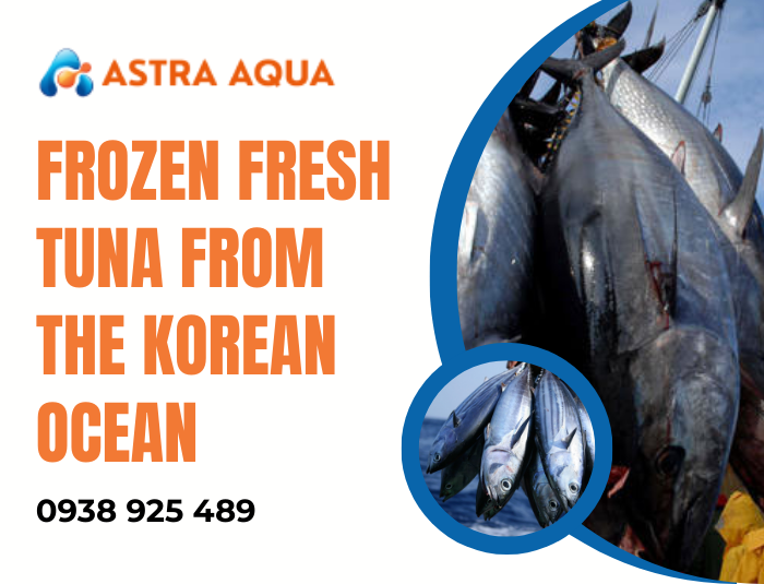 Frozen Fresh Ocean Tuna from the Korean Ocean