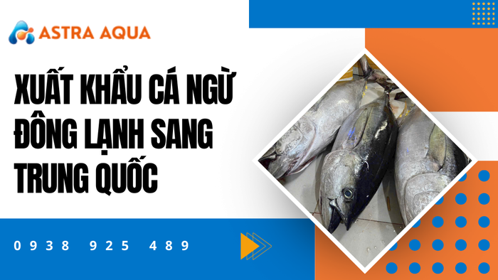 Xuất khẩu cá ngừ đông lạnh sang Trung Quốc