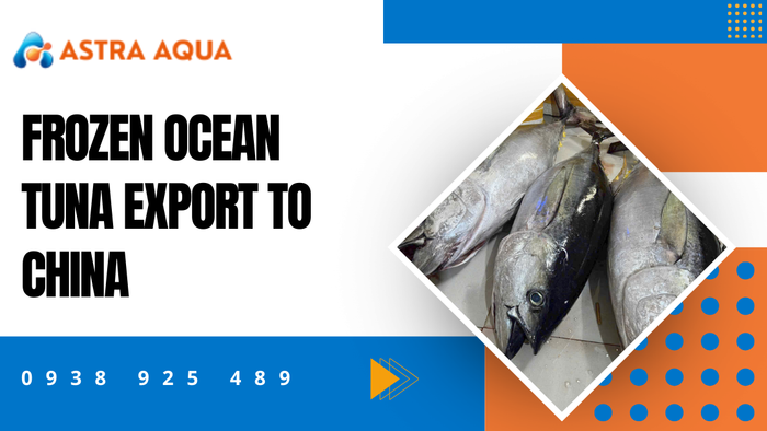 Frozen Ocean Tuna Export to China
