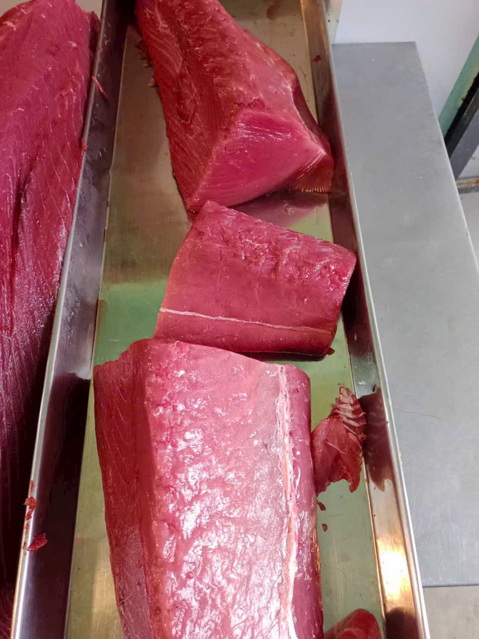 Hợp tác thị trường cá ngừ đông lạnh Philippines