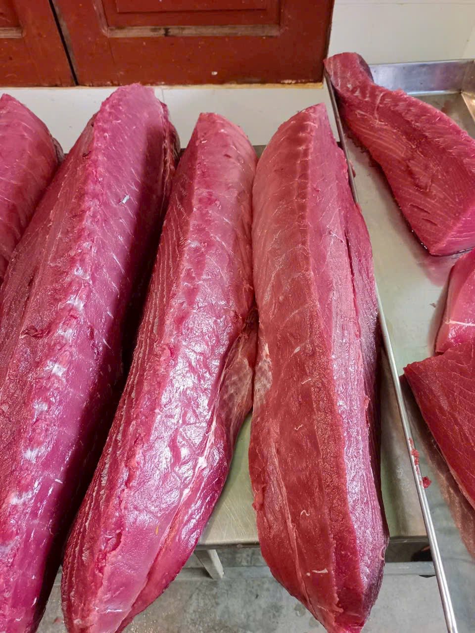 Cung cấp cho thị trường cá ngừ đông lạnh Philippines