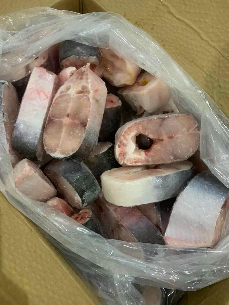 Hệ thống logistics phục vụ xuất khẩu cá basa đông lạnh sang Trung Quốc