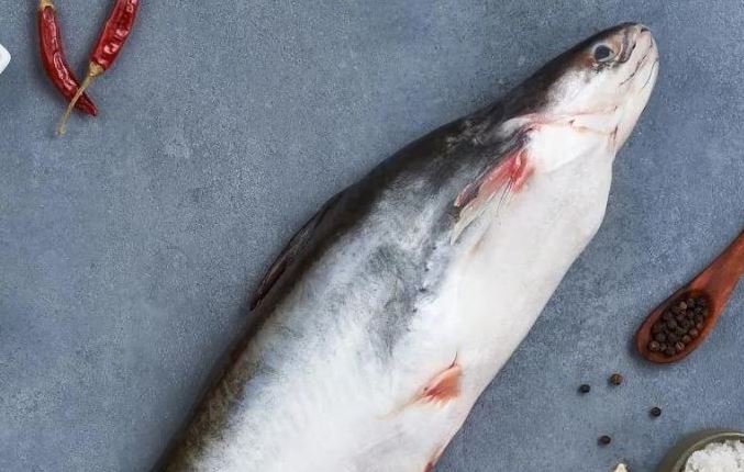 Astra Aqua đối tác xuất khẩu cá basa đông lạnh chất lượng sang Philippines