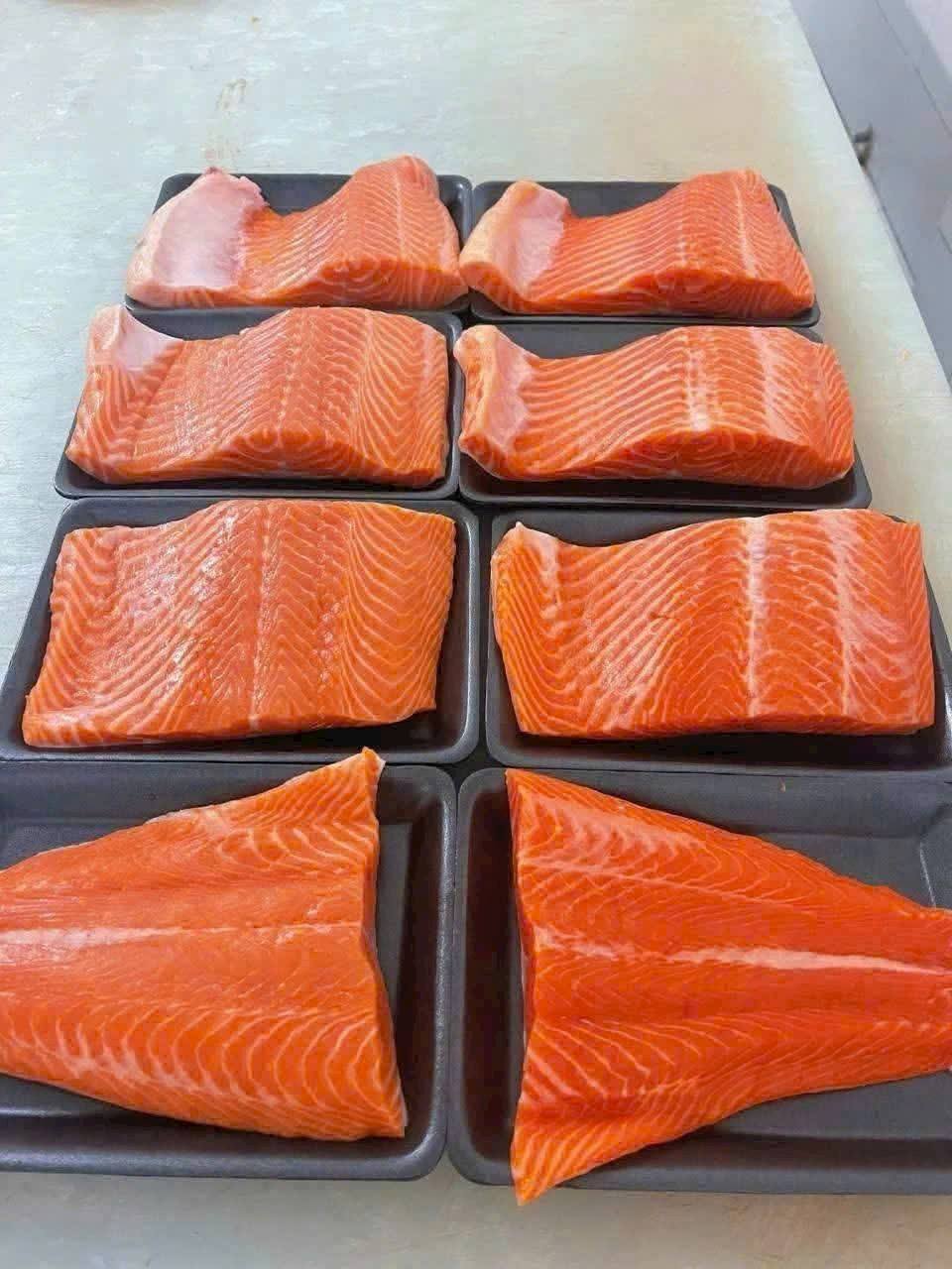 Astra Aqua đối tác xuất khẩu cá hồi đông lạnh sang Trung Quốc uy tín