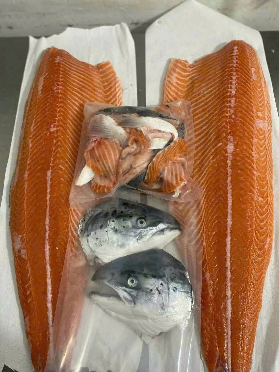 Năng lực logistics xuất khẩu cá hồi đông lạnh bằng đường biển