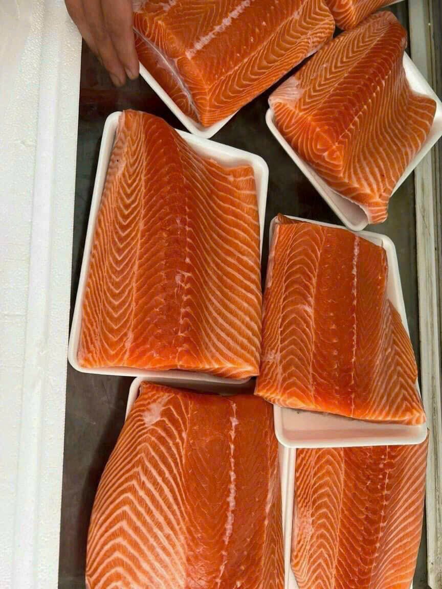 Các dòng sản phẩm cá hồi đông lạnh chuẩn sashimi được ưa chuộng