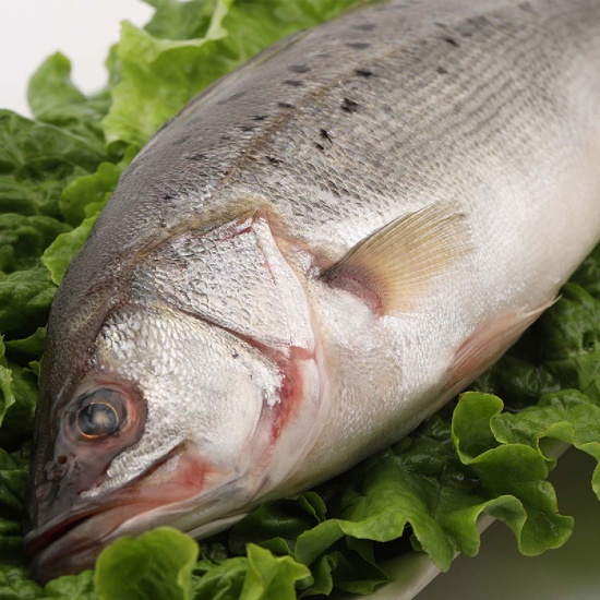 Giá xuất khẩu cá chẽm sang Hàn Quốc