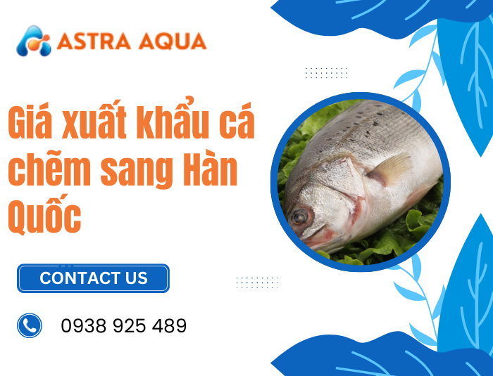 Giá xuất khẩu cá chẽm sang Hàn Quốc