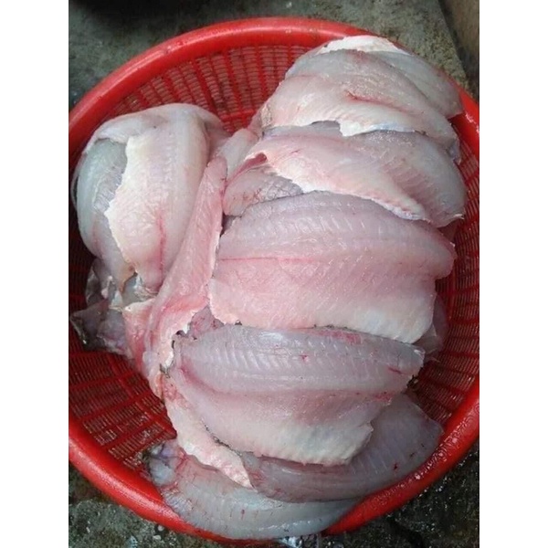 Giá xuất khẩu cá rô phi sang Nhật Bản