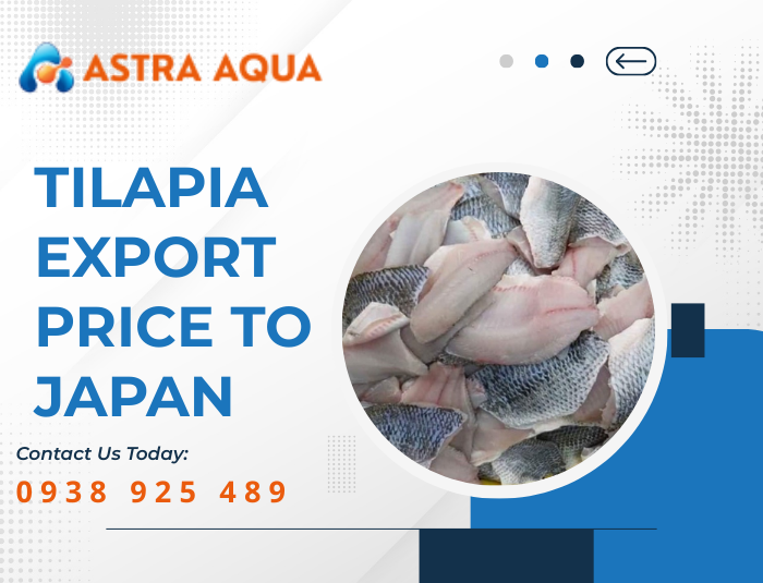 Tilapia Export Price to Japan