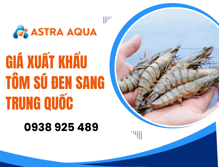 Giá xuất khẩu tôm sú đen sang Trung Quốc