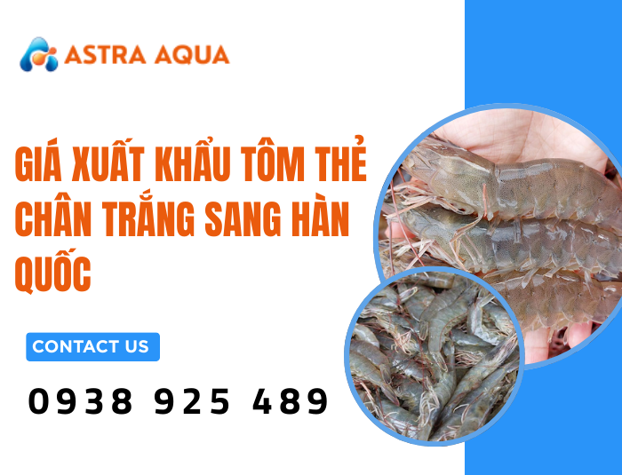 Giá xuất khẩu tôm thẻ chân trắng sang Hàn Quốc