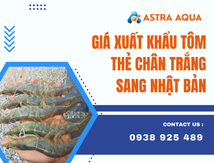 Giá xuất khẩu tôm thẻ chân trắng sang Nhật Bản