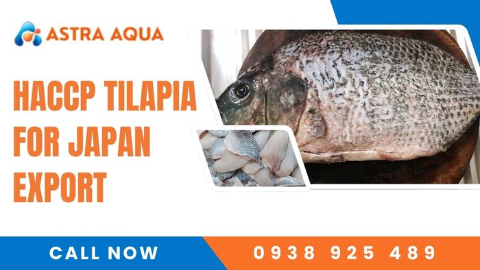 Export of HACCP-certified tilapia to Japan from Astra Aqua