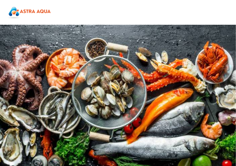 Hải Sản Chất Lượng Tiêu Chuẩn Vàng Trong Xuất Khẩu và Nội Địa tại ASTRA AQUA