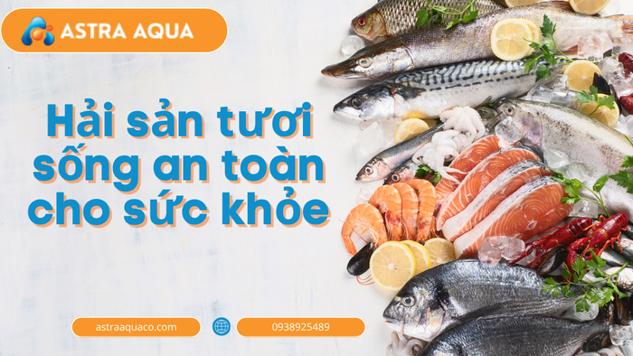 Hải Sản Tươi Sống An Toàn Cho Sức Khỏe – Bí Quyết Chọn Nguồn Thực Phẩm Chất Lượng Cho Gia Đình Việt