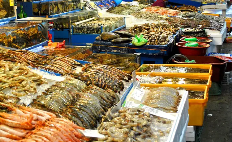 Hải sản tươi sống – Lựa chọn thông minh cho cuộc sống khỏe mạnh