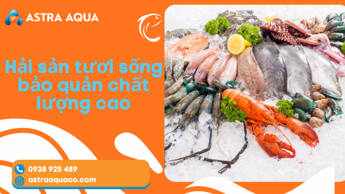 Hải Sản Tươi Sống Bảo Quản Chất Lượng Cao – Giải Pháp Giữ Trọn Độ Tươi Ngon Và Giá Trị Dinh Dưỡng