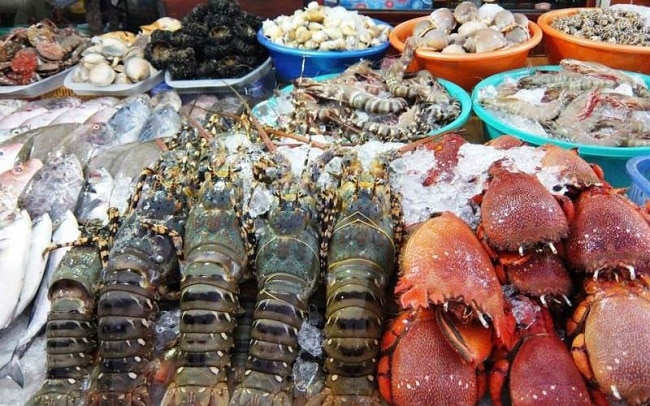 Các Dòng Hải Sản Tươi Sống Được Ưa Chuộng Hiện Nay