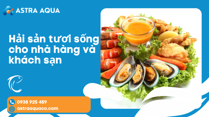 Hải Sản Tươi Sống Cho Nhà Hàng Và Khách Sạn – Giải Pháp Nâng Tầm Chất Lượng Ẩm Thực Cùng Công Ty Astra Aqua