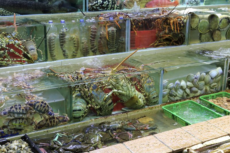 Các dòng hải sản tươi sống được ưa chuộng hiện nay