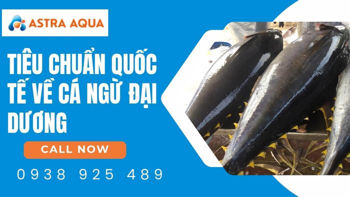 Tiêu chuẩn quốc tế về cá ngừ đại dương xuất khẩu cùng Astra Aqua