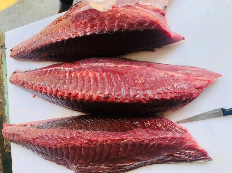 Quy chuẩn logistics thông quan cá ngừ nguyên con chuẩn sashimi