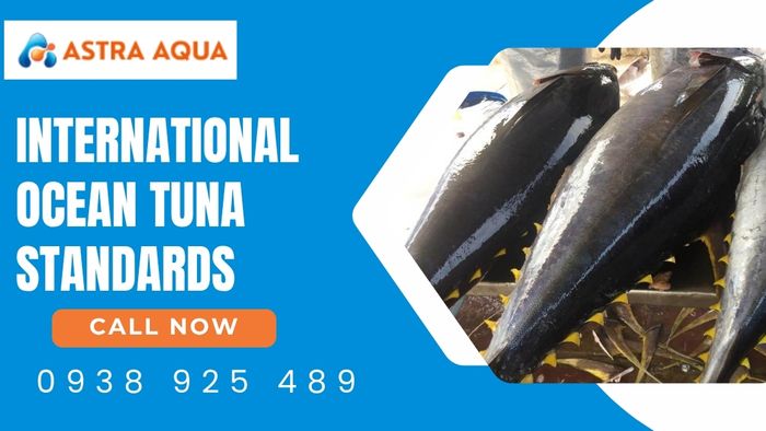 International Standards for Export Ocean Tuna with Astra Aqua