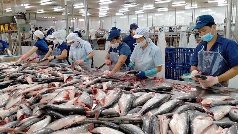 Lợi Ích Của Việc Thực Hiện InSpection Đầy Đủ
