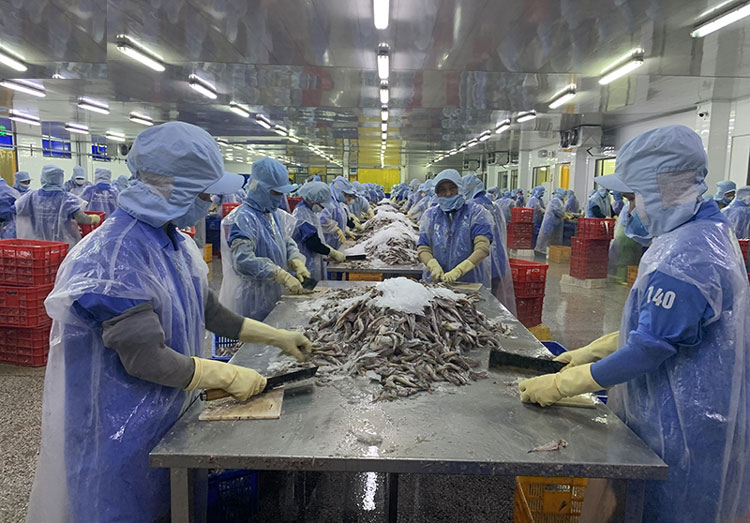 Lợi Ích Của Việc Thực Hiện Sourcing Đầy Đủ