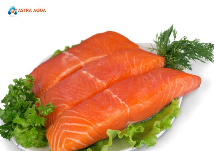 Lợi Ích Khi Hợp Tác Với ASTRA AQUA