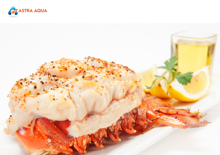 Lợi Ích Khi Hợp Tác Với ASTRA AQUA