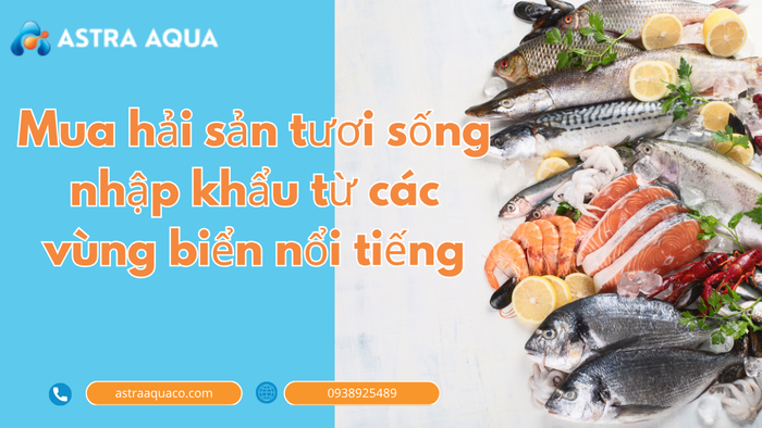Mua Hải Sản Tươi Sống Nhập Khẩu Từ Các Vùng Biển Nổi Tiếng – Chất Lượng Quốc Tế Tại Công Ty Astra Aqua